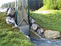 bild (45)